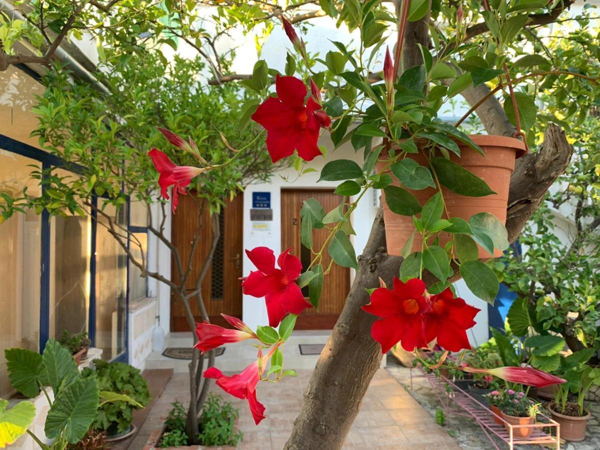 Apartamento Danijela Mali Lošinj Exterior foto